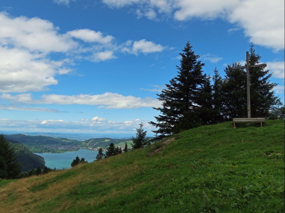 Ägerisee und Gipfelkreuz Morgartenberg