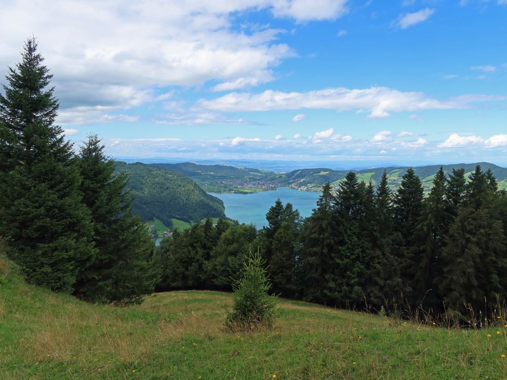 Ägerisee