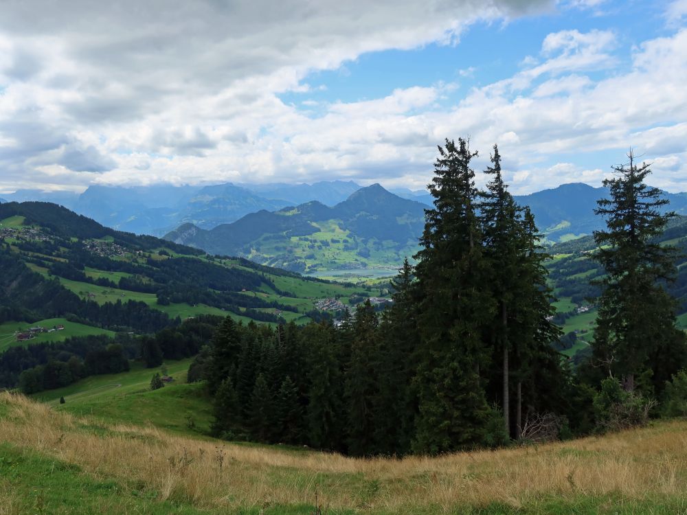 Rigi Hochflue