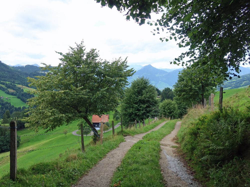 Ober Morgarten mit Blick zu Rigi Hochflue