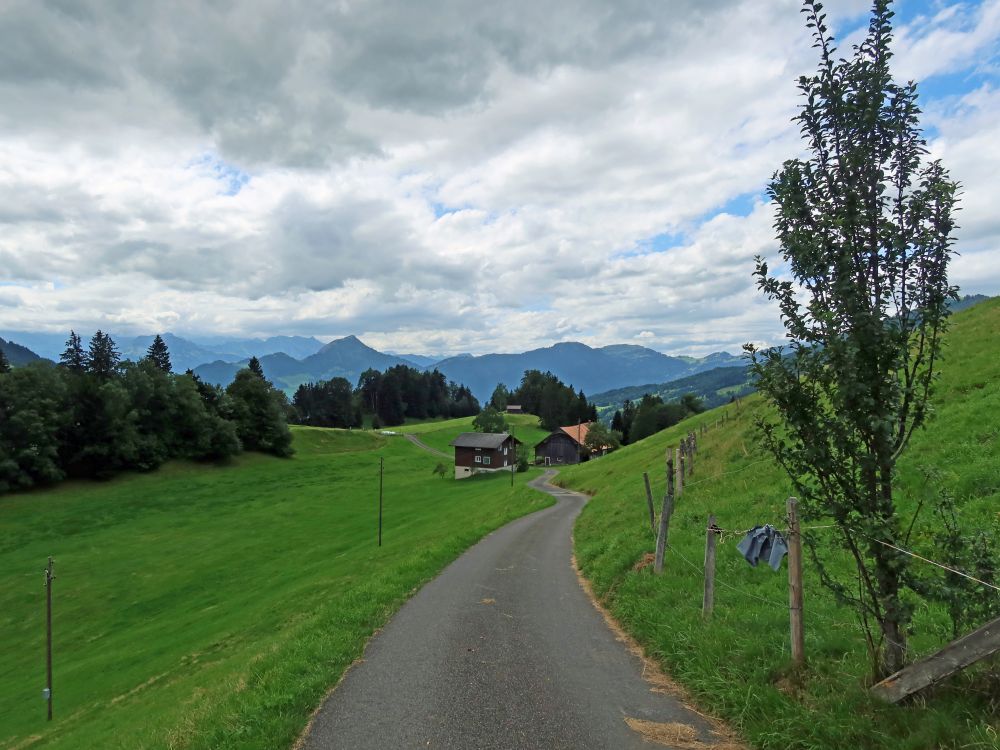 Unterer Morgarten mit Rigi Hochflue