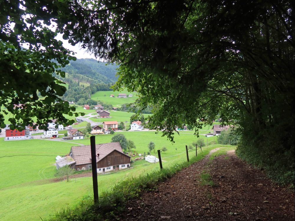 Waldweg oberhalb Biberegg