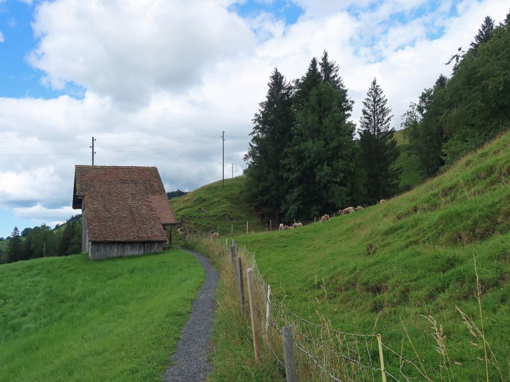 Stall am Mäderenweg