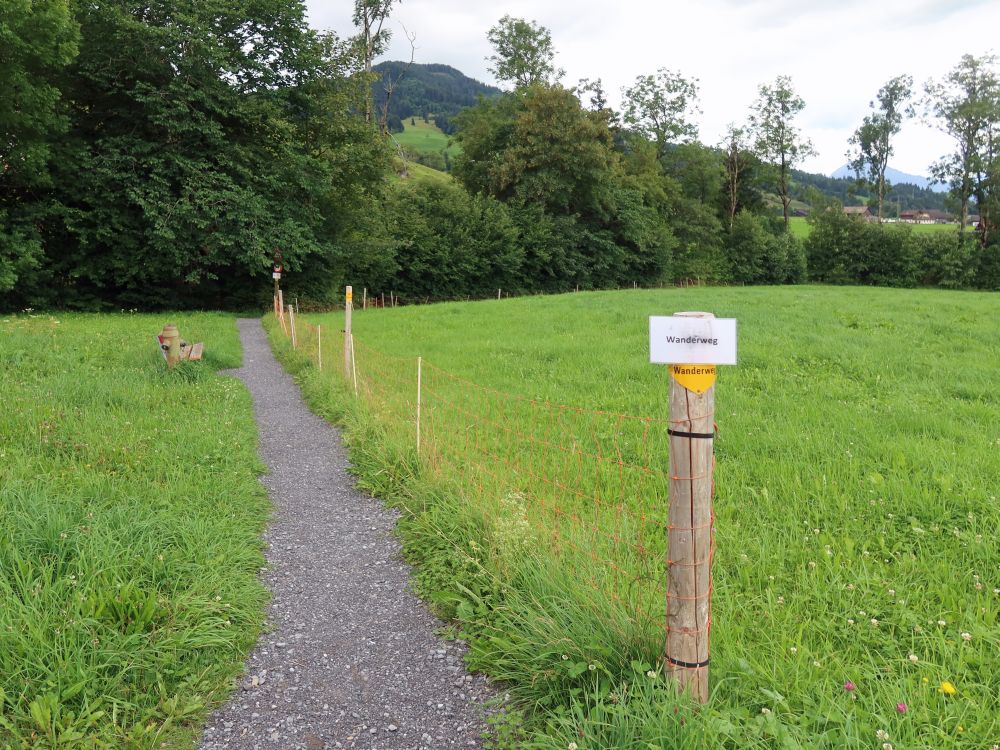 Wanderwegmarkierung schwarz auf weiss