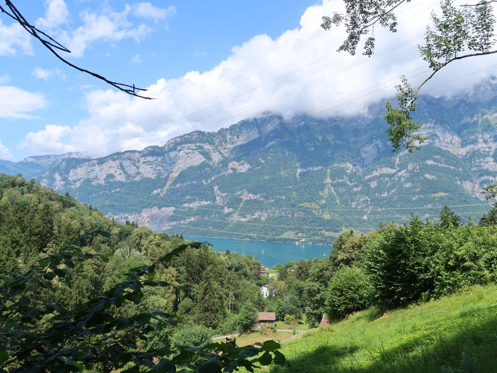 Walensee und Churfirstenwände