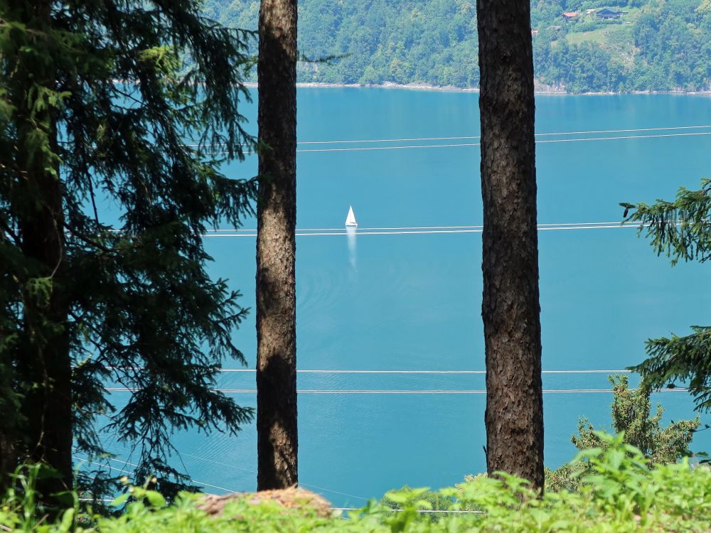 einsames Segelboot auf dem Walensee