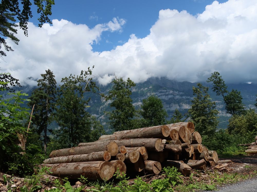 Holzstapel und Churfirstenspitzen in Wolken