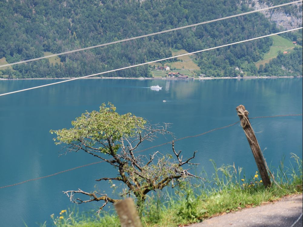 Passagierschiff und Quinten am Walensee-Nordufer