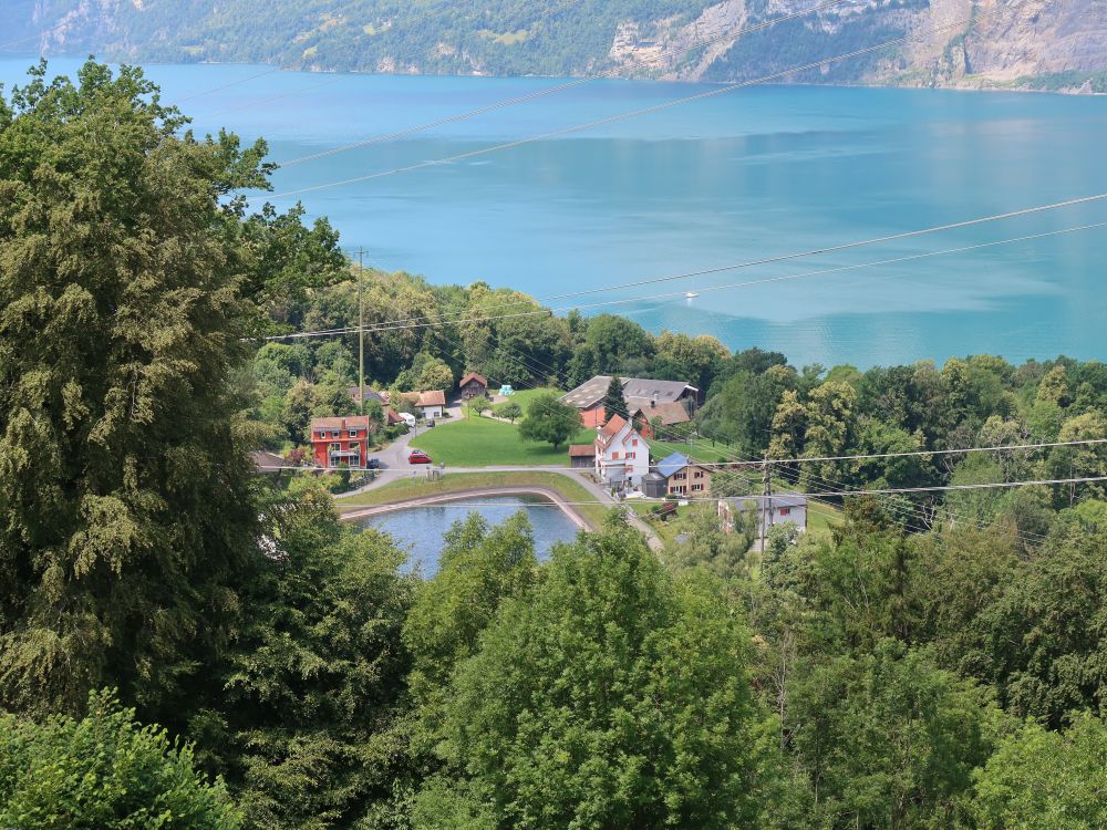 Wasserbecken am Luchsberg und Walensee