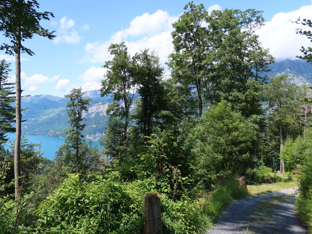 Neubruchstrasse und Walensee