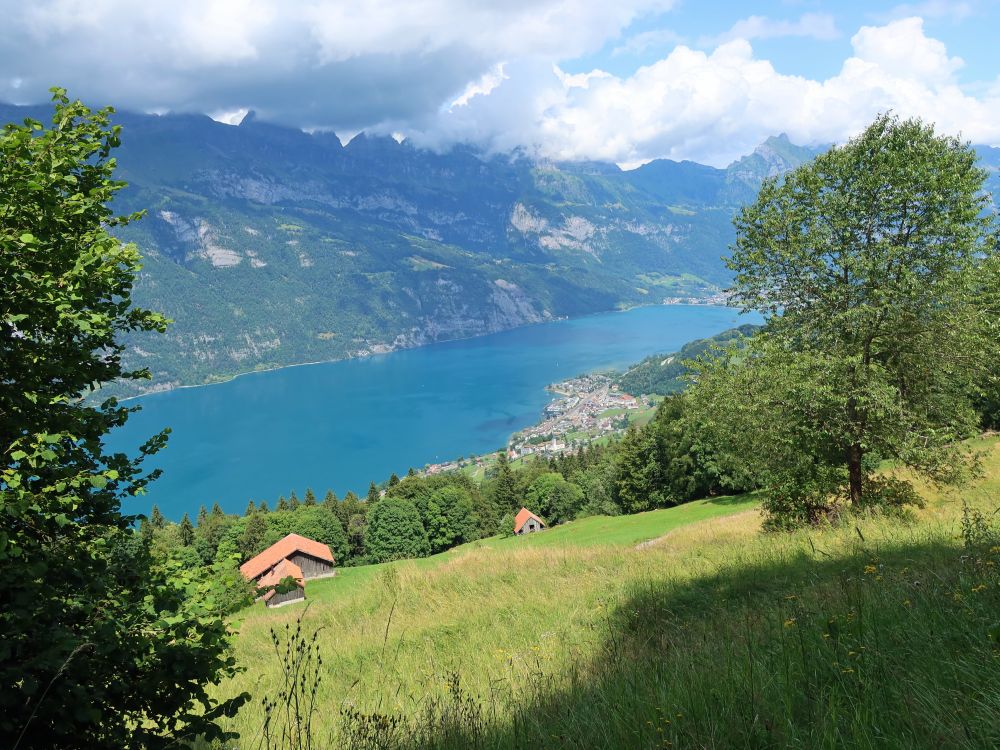 Unterterzen am Walensee