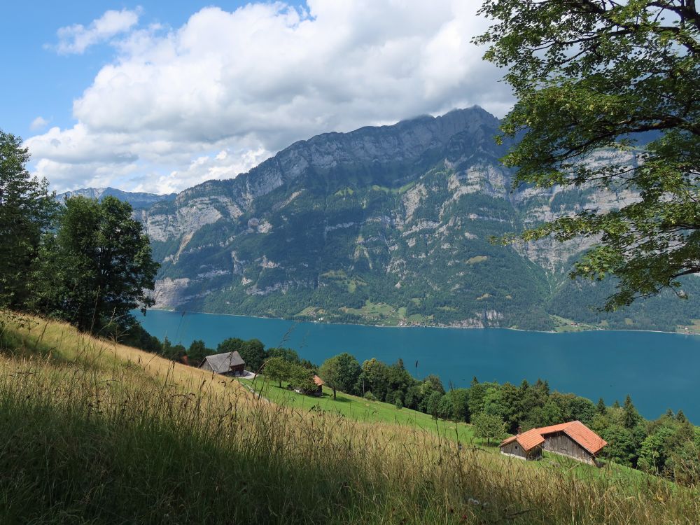 Leistchamm überm Walensee