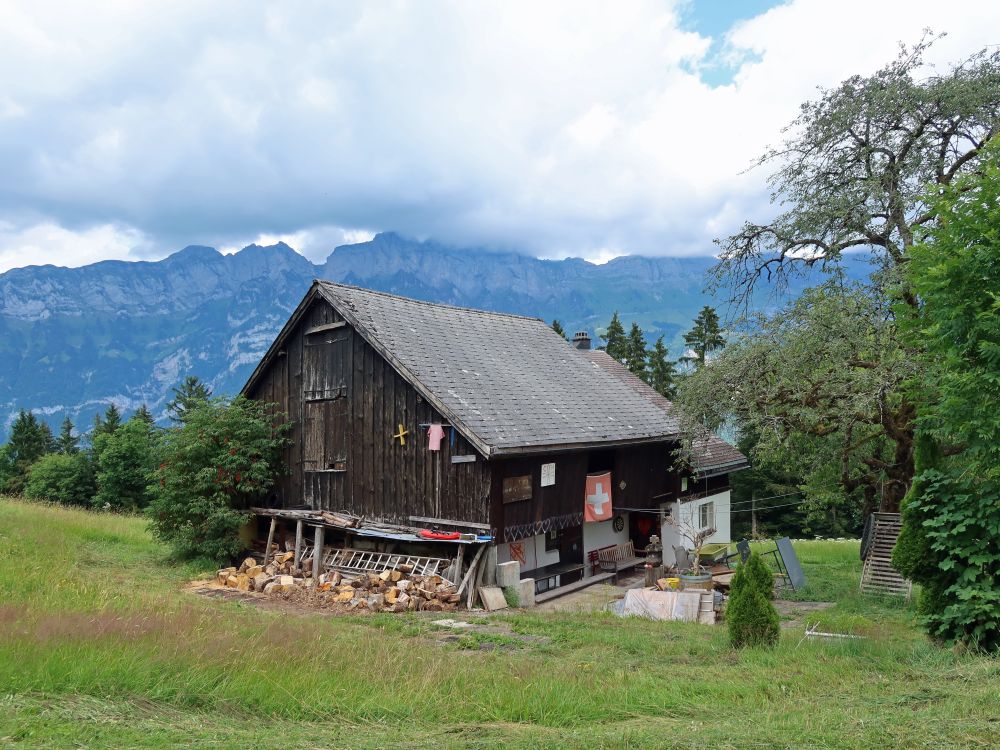 Haus bei Biederen