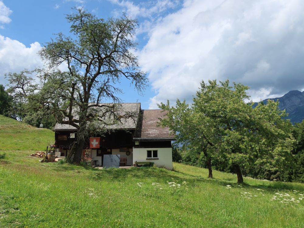 Haus bei Biederen