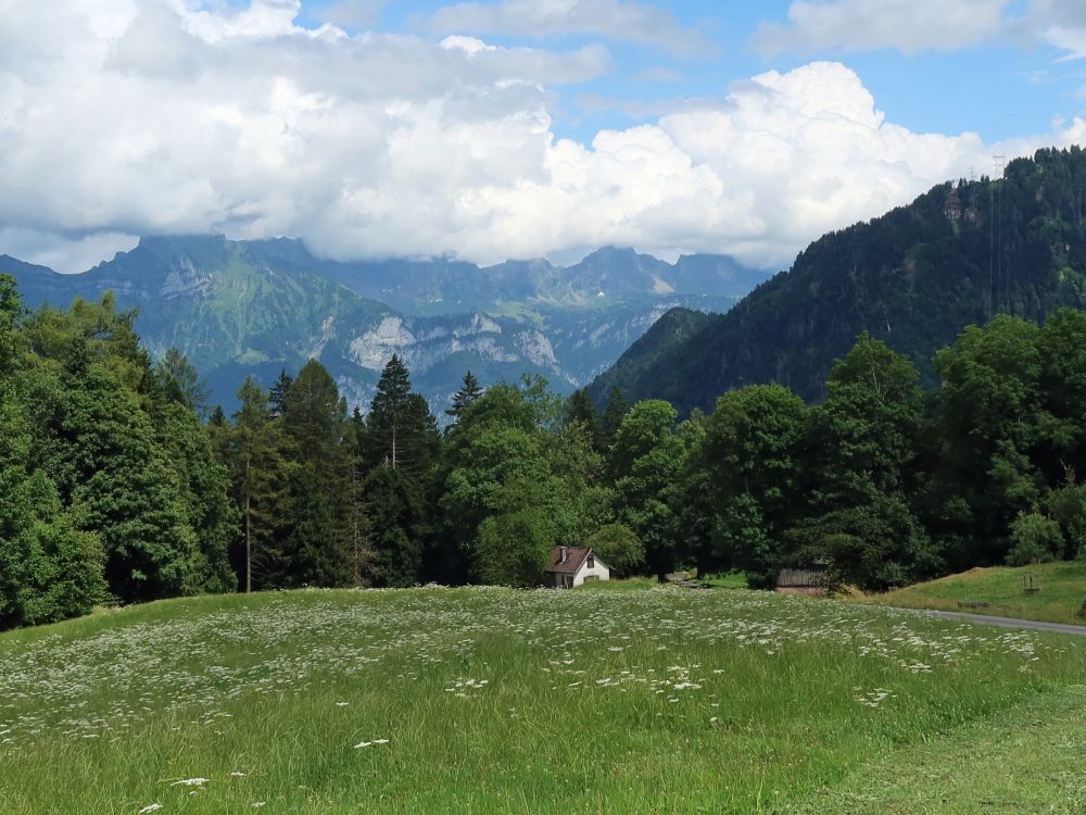 Bergspitzen der Alviergruppe in Wolken