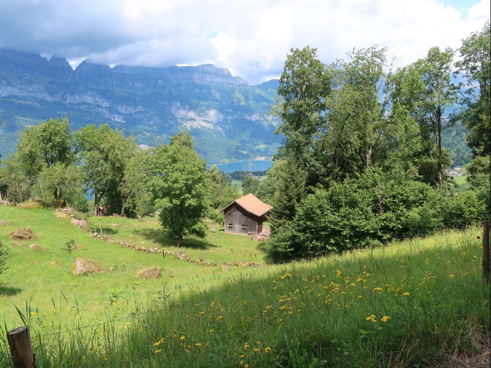 Scheune und Walensee