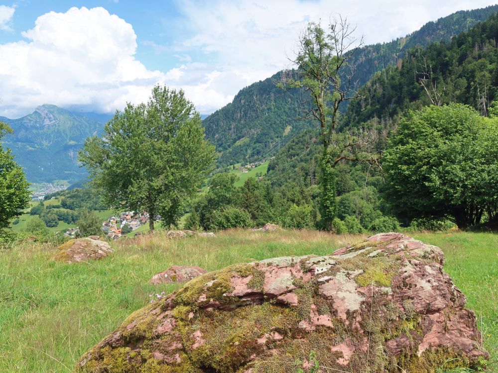 Oberterzen zwischen den Bäumen