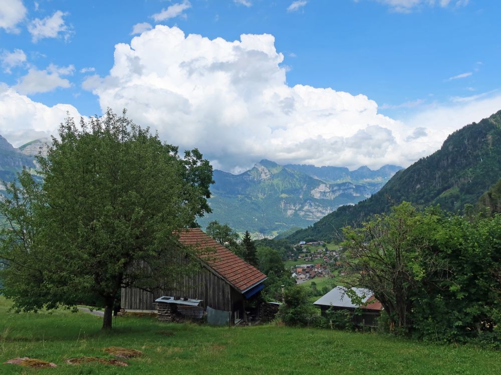 Blick Richtung Oberterzen und Alviergruppe