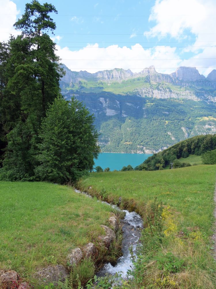 Kammenbach und Walensee