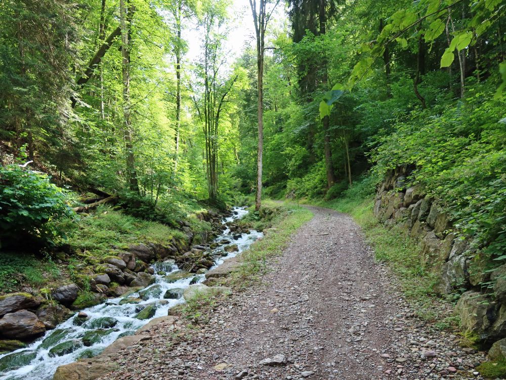 Weg am Kammenbach