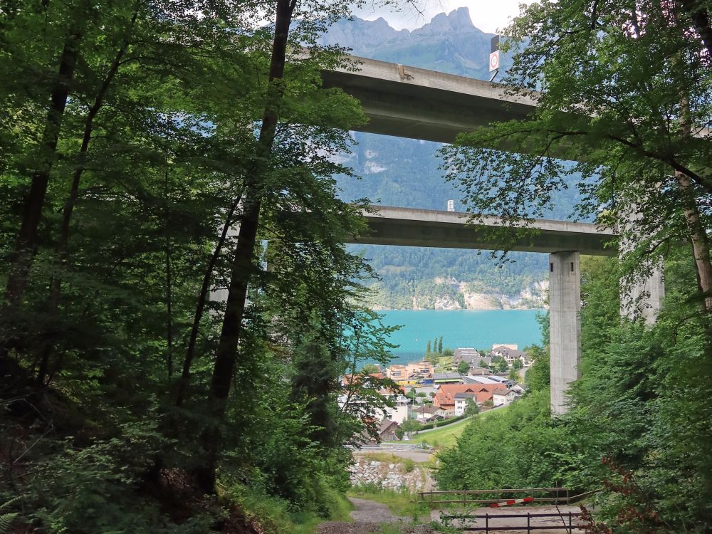 Autobahnbrücke A3 über Unterterzen