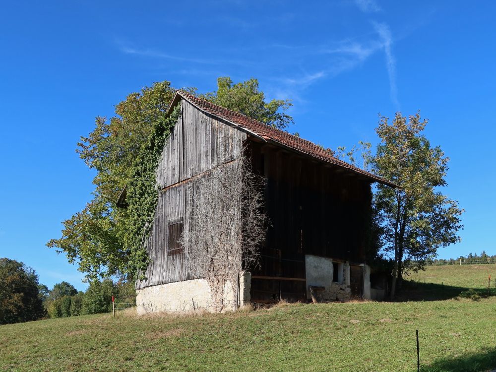 Scheune bei Langenberg