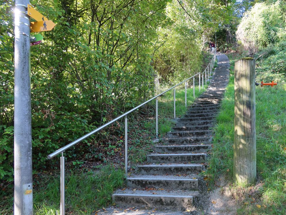 Treppe zum Zwetschgenweg