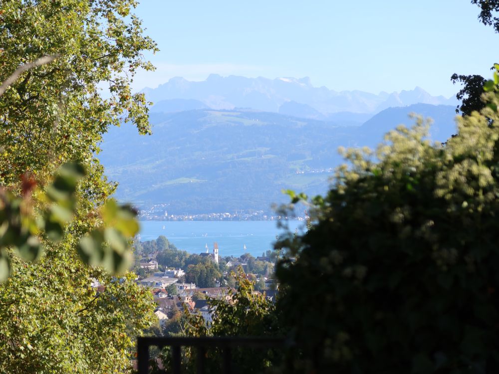 Uetikon, Zürichsee und Glärnisch