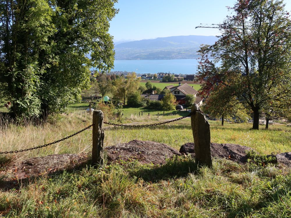 Blick zum Zürichsee