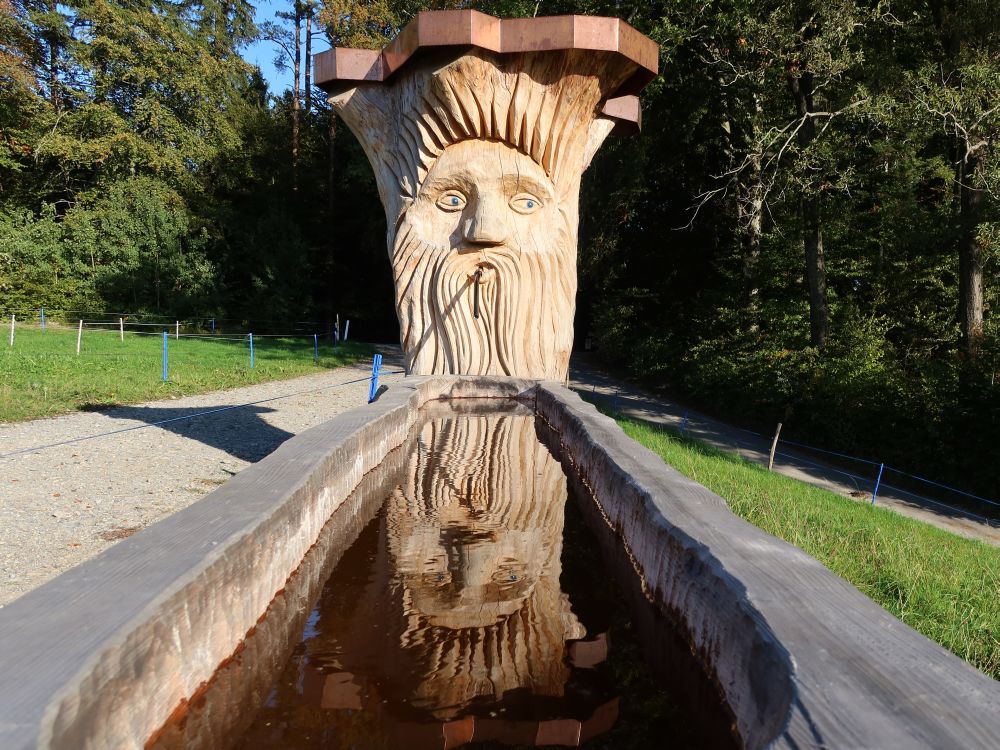 Brunnen mit Spiegelung