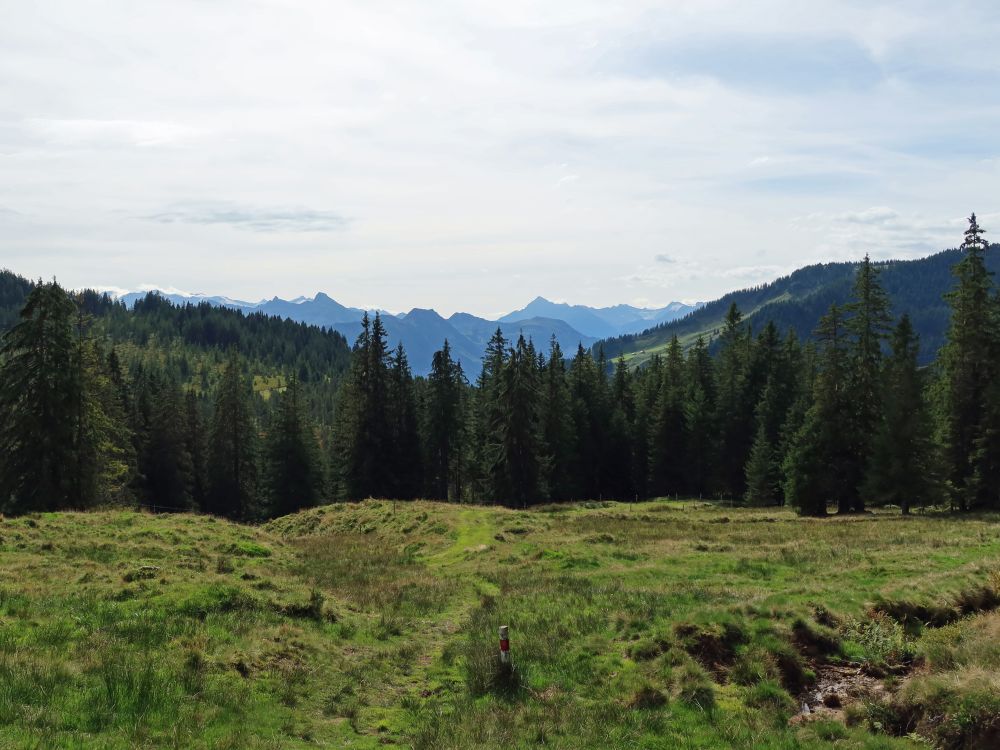 Blick Richtung Güpfi und Ritzlihorn