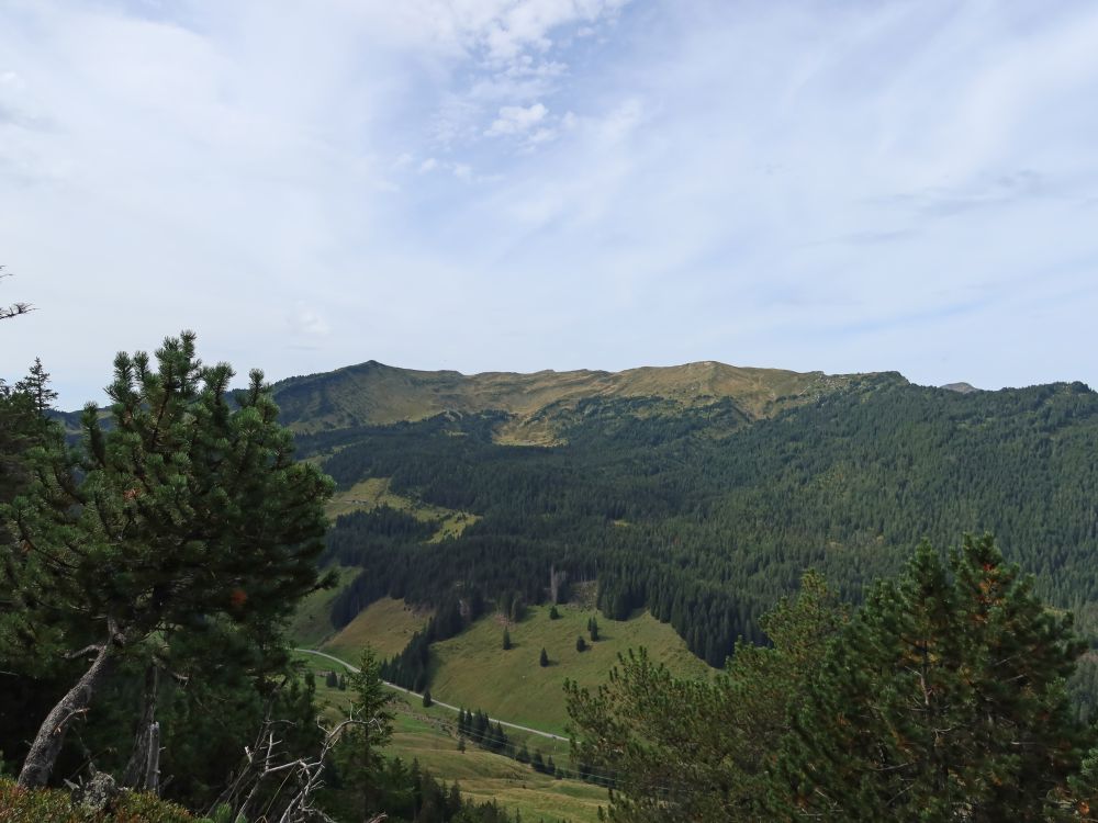 Blick zum Rickhubel (li.)