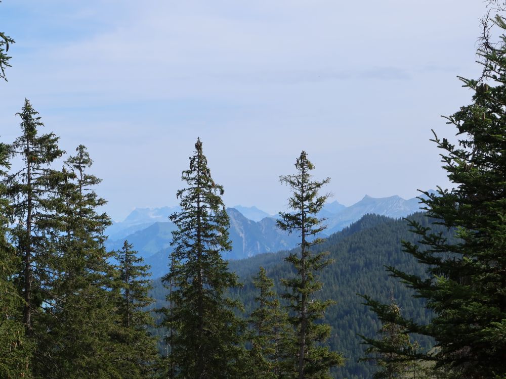 Stanserhorn und Grarner Berge im Hintergrund