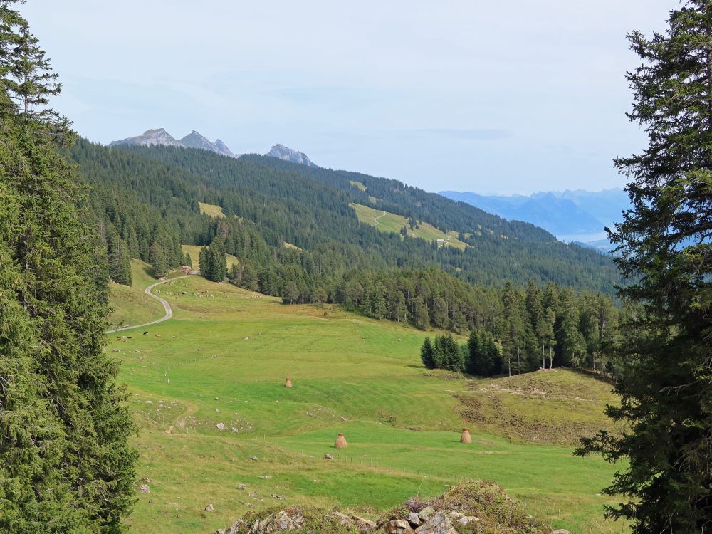 Pilatus und Rosenwang im Vordergrund