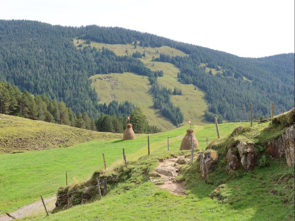 Heuschober und Blick Richtung Grosschlierental