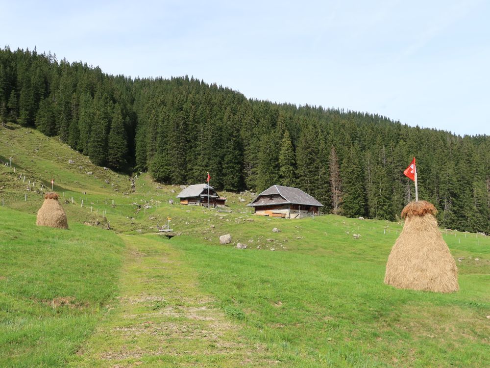 Rorersmatt zwischen Heuschober