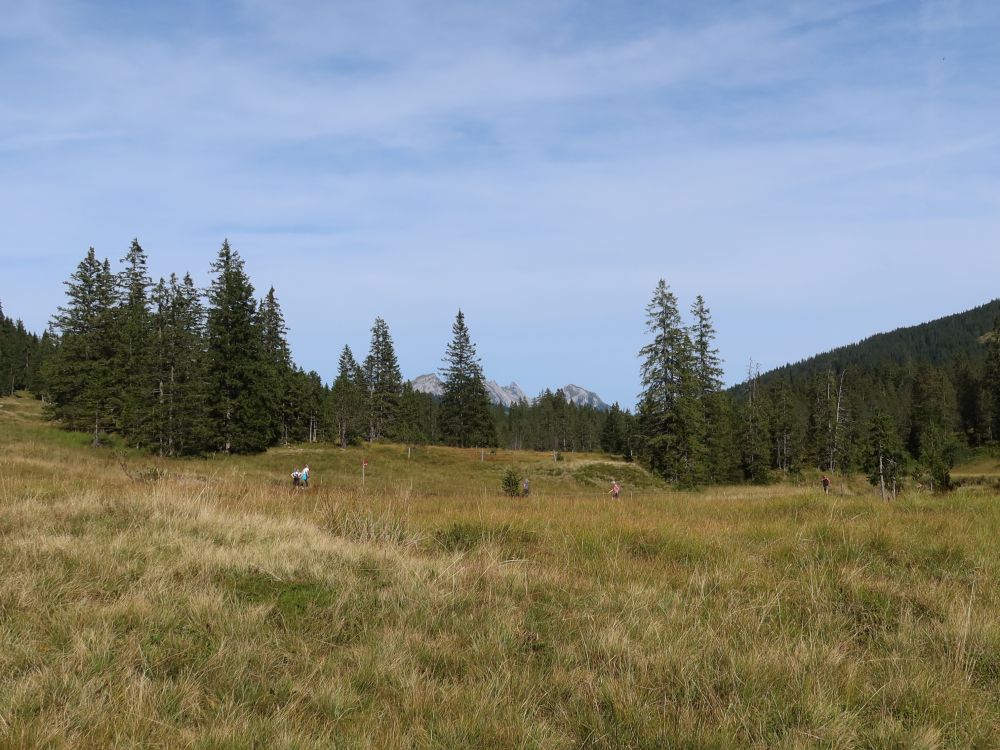 Moorlandschaft mit Pilatus im Hintergrund