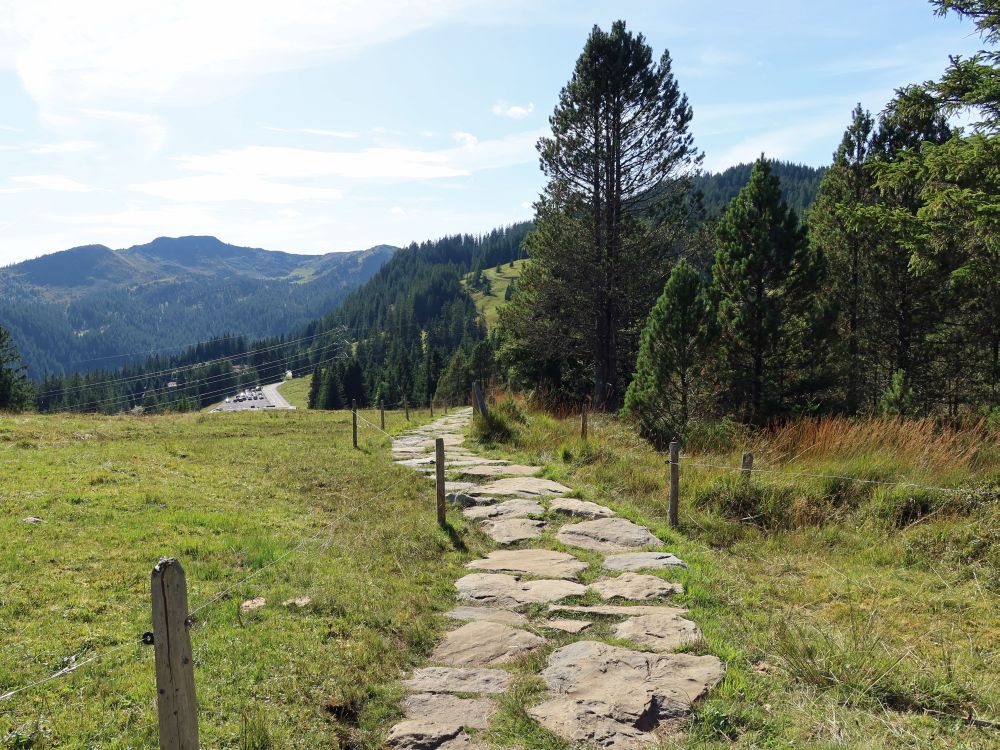 Plattenweg und Parkplatz Langis