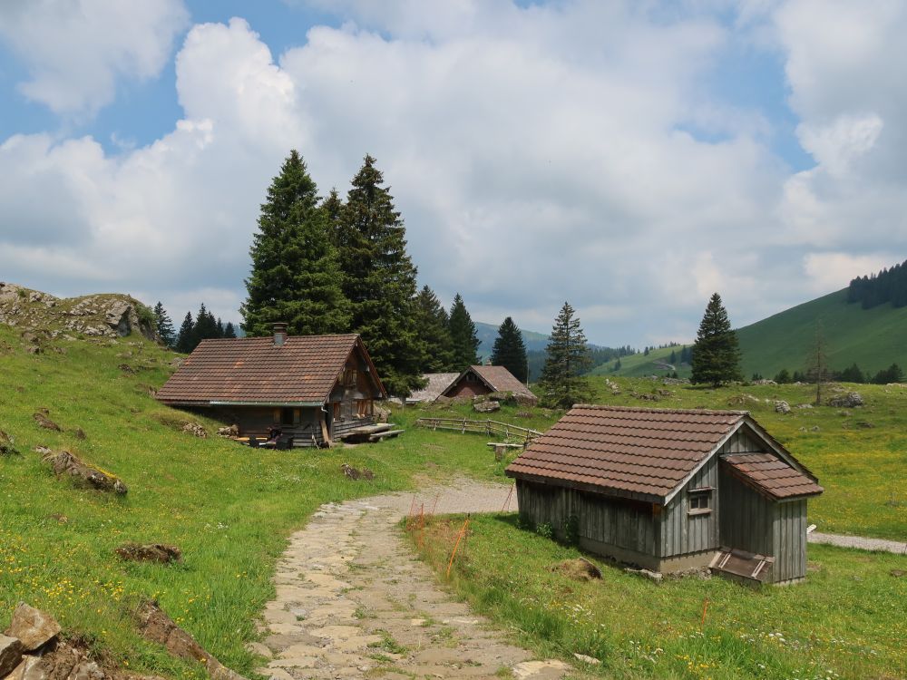 Hütten bei Zweigemmer