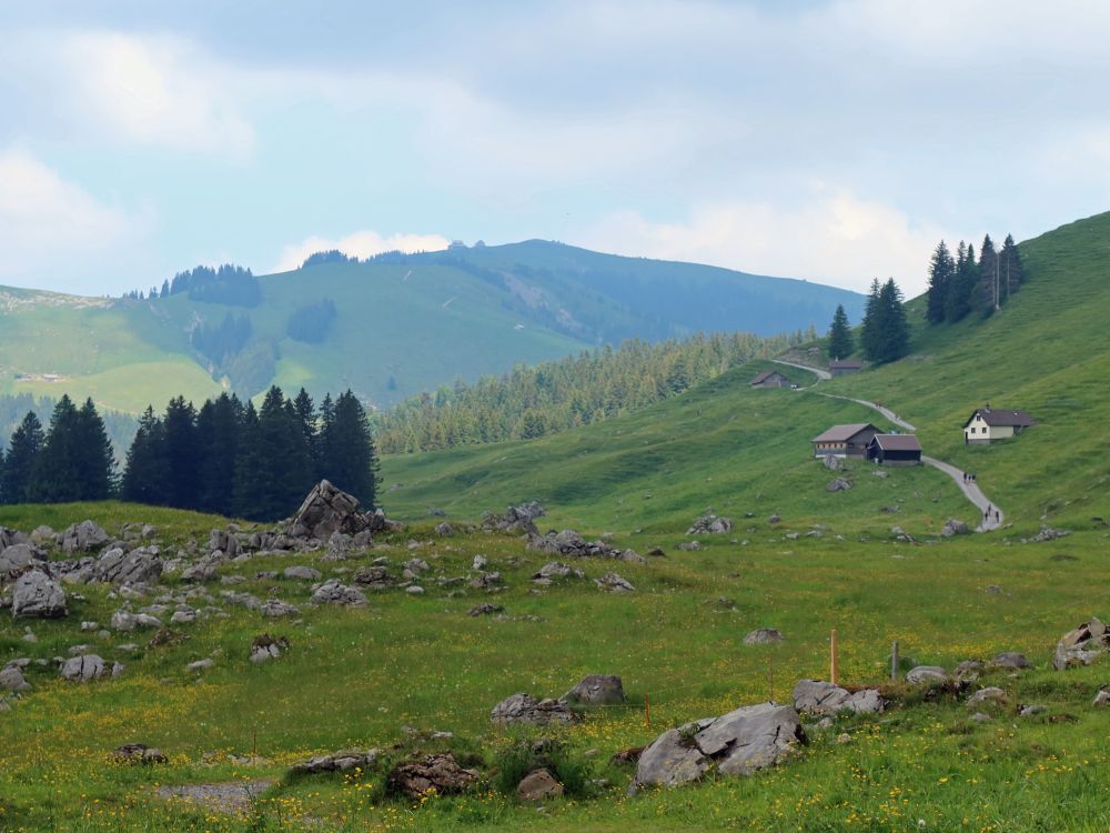 Blick Richtung Kronberg