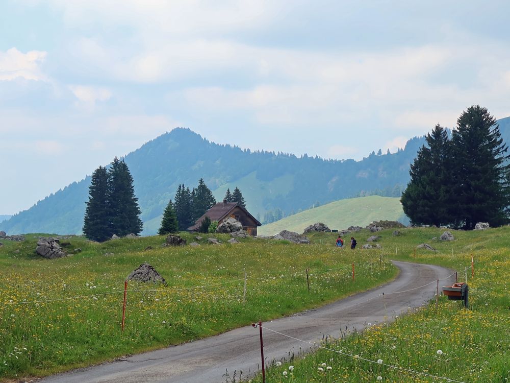 Blick Richtung Spitzli