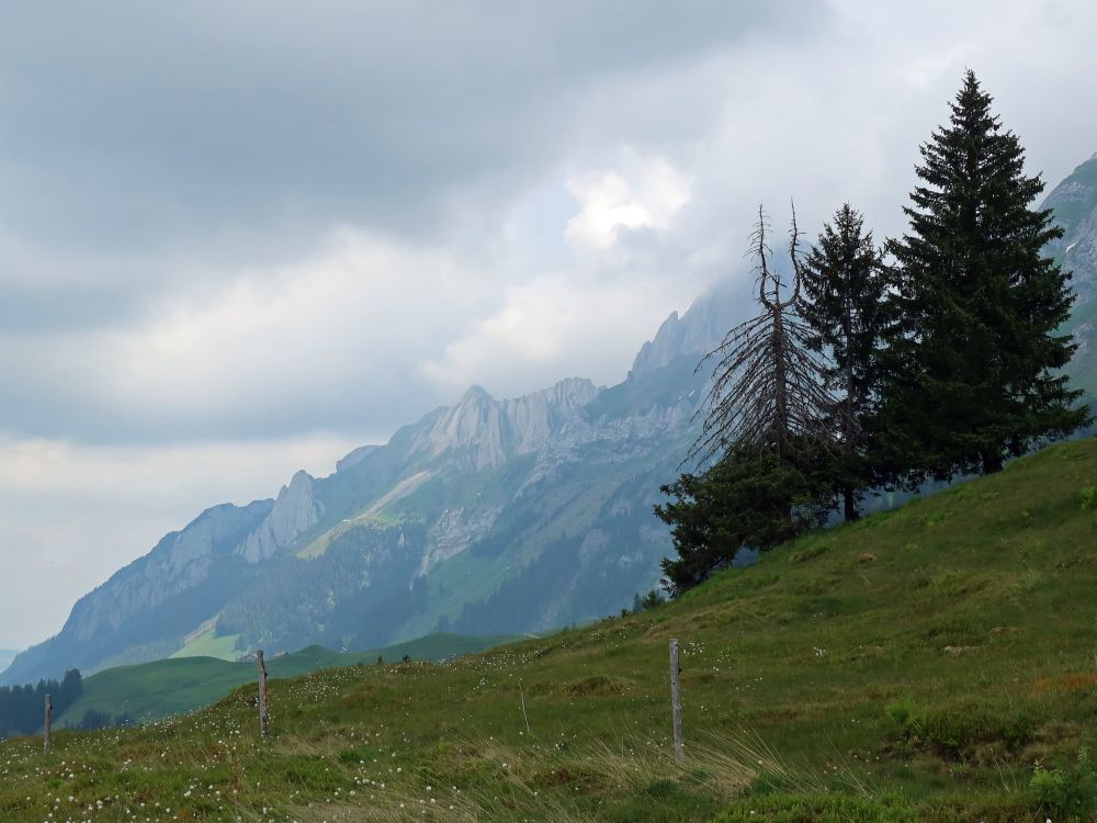 Alpsteinmassiv