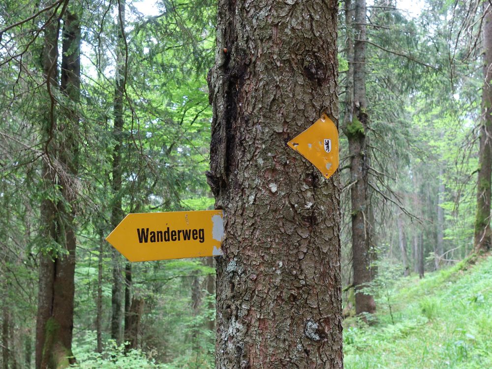 eingewachsener Wanderwegweiser