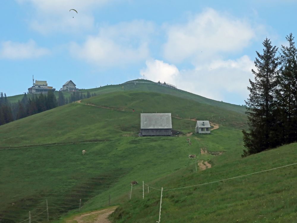 Blick zum Kronberg