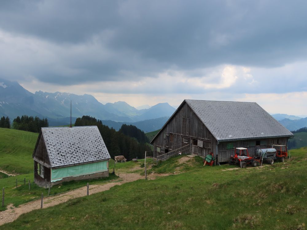 Stall unterhalb Kronberg