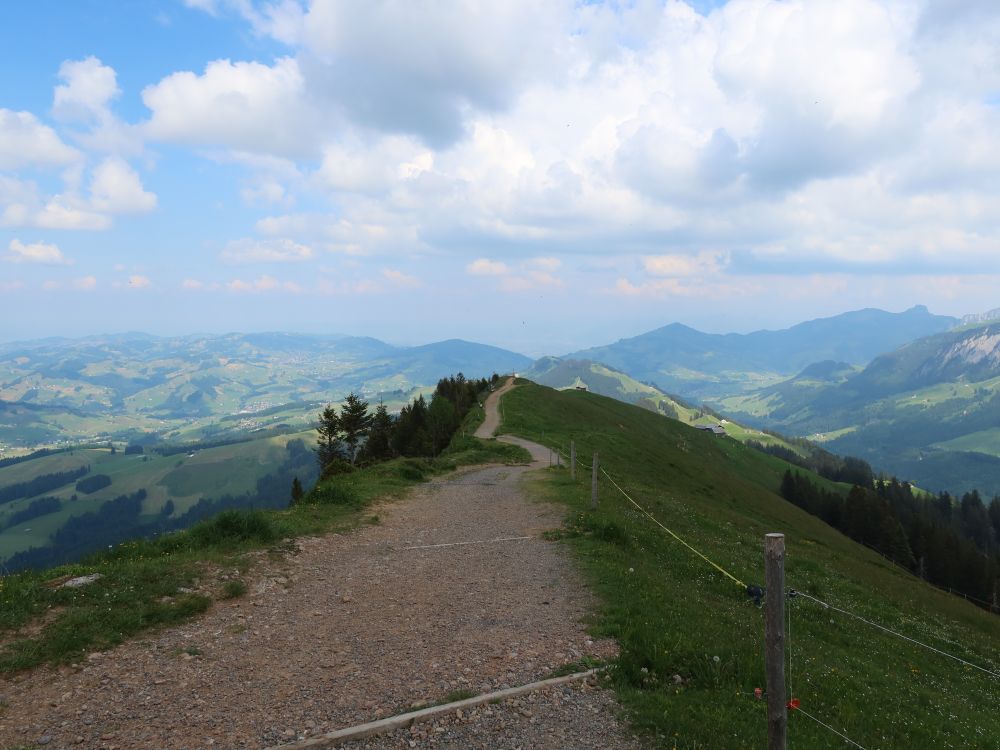 Gratweg am Kronberg