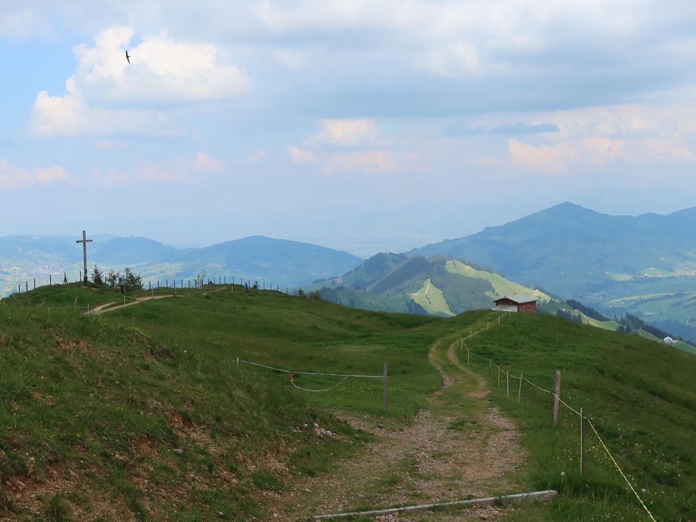 Weg am Kronberg