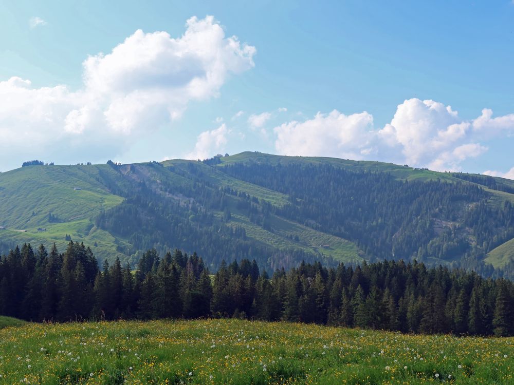 Blick zum Kronberg