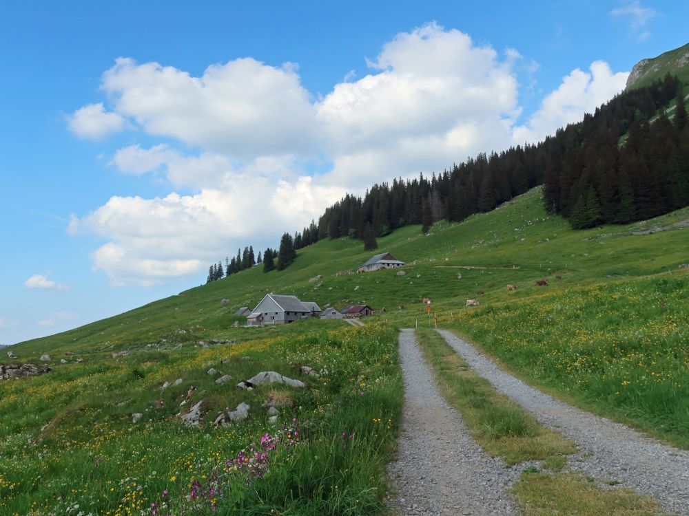 Klein und Gross Dreihütten