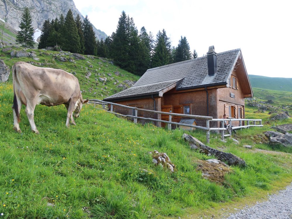 Hütte mit Kuh